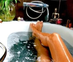 1000g Shungiet Shungite Stenen Voor Water En Ontstoring -Servies Serie Winkel 1200x1029