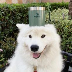 Stanley The Legendary Camp Mug 0,35L - Beker - Hammertone Green -Servies Serie Winkel 1200x1199 4