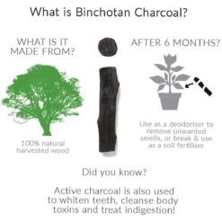 Black + Blum Binchotan Active Charcoal For Eau Good Water Bottles 4-pack -Servies Serie Winkel 1200x1200 158