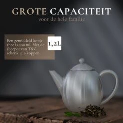 T&C Theepot Met Filter En Dubbelwandig - 1,2L - Matte Grijs -Servies Serie Winkel 1200x1200 898