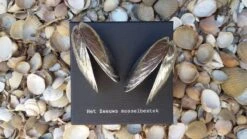 Het Zeeuws Mosselbestek -Servies Serie Winkel 1200x675 11