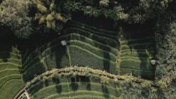 Sola Bestekset Bali - Modern - 9 Persoons - 90 Delig - Zilverwit Edelstaal 18/10 - RVS - Zilver -Servies Serie Winkel 1200x675 12