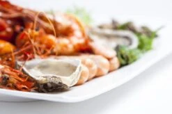 Maxwell & Williams Motion Serviesset - 6 Personen - 30 Delig -Servies Serie Winkel 1200x799 11