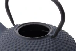 Bredemeijer - Theepot Xilin 1,25L Gietijzer Blauw -Servies Serie Winkel 1200x800 131