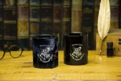 Harry Potter: Hogwarts - Kleurveranderende Beker -Servies Serie Winkel 1200x800 42