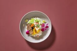 Palmer Serviesset Sandy Loam Stoneware 6-persoons 24-delig Grijs -Servies Serie Winkel 1200x800 90