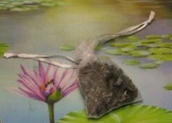 1000g Shungiet Shungite Stenen Voor Water En Ontstoring -Servies Serie Winkel 1200x853