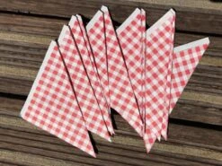 Papieren Frietzak - 30 Stuks - Kleine Patat Maat K14 - Boerenbont - Rode Ruitjes - Puntzak - Patatzak - Traktaties -Servies Serie Winkel 1200x900 124