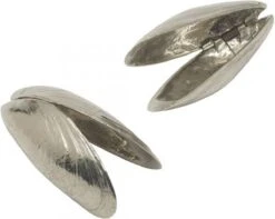 Het Zeeuws Mosselbestek -Servies Serie Winkel 1200x958 7