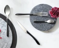 Amefa Eclat Zwart - 16 Delige Set - 4 Persoons - Zwart Gekleurd Bestek -Servies Serie Winkel 1200x975 3