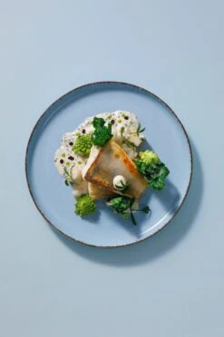 Palmer Serviesset Antigo Porselein 6-persoons 24-delig Lichtblauw -Servies Serie Winkel 800x1200 46