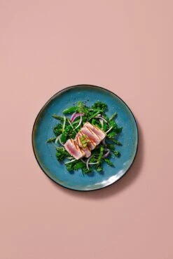 Palmer Serviesset Lotus Stoneware 6-persoons 24-delig Zwart Turquoise -Servies Serie Winkel 801x1200 6