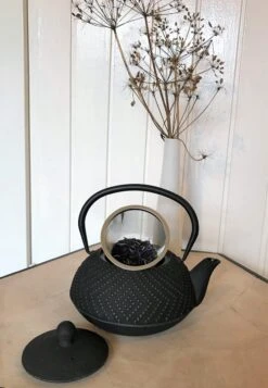 Bredemeijer - Theepot Fujian 1.2L Met Filter -Servies Serie Winkel 831x1200 1